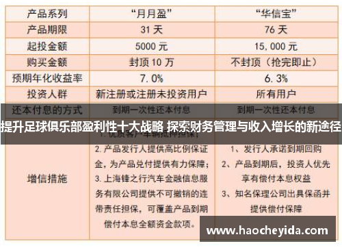 提升足球俱乐部盈利性十大战略 探索财务管理与收入增长的新途径