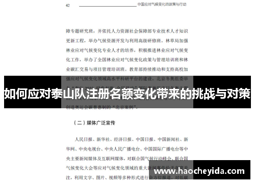 如何应对泰山队注册名额变化带来的挑战与对策