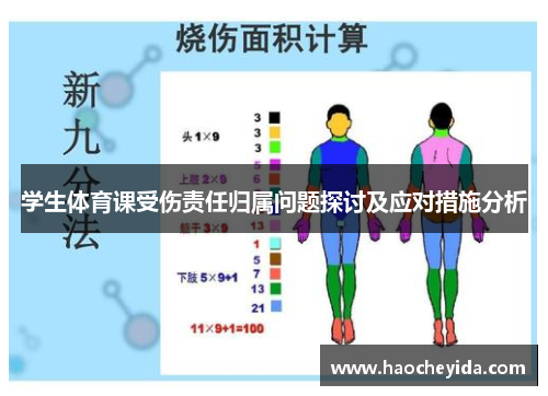 学生体育课受伤责任归属问题探讨及应对措施分析