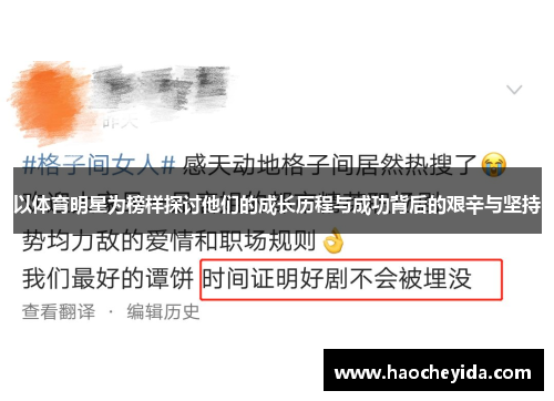 以体育明星为榜样探讨他们的成长历程与成功背后的艰辛与坚持