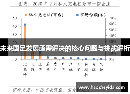 未来国足发展亟需解决的核心问题与挑战解析