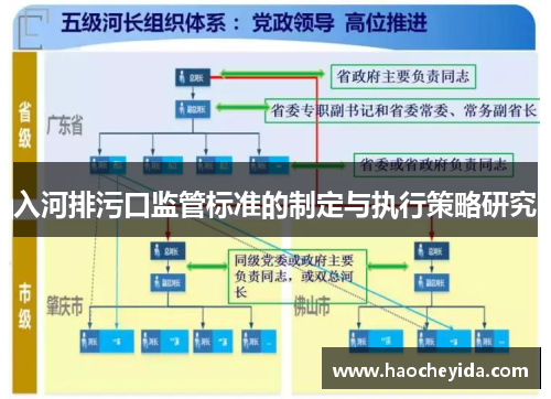 入河排污口监管标准的制定与执行策略研究