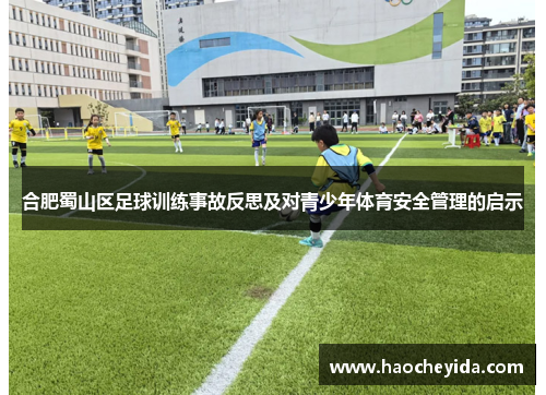 合肥蜀山区足球训练事故反思及对青少年体育安全管理的启示