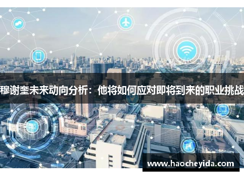 穆谢奎未来动向分析：他将如何应对即将到来的职业挑战