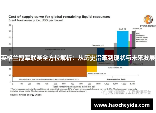 英格兰冠军联赛全方位解析：从历史沿革到现状与未来发展